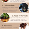 Organic Luxury Hot Chocolate - Image 4