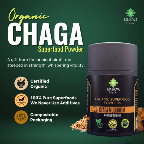 Organic Chaga Mushroom Powder - Image 3
